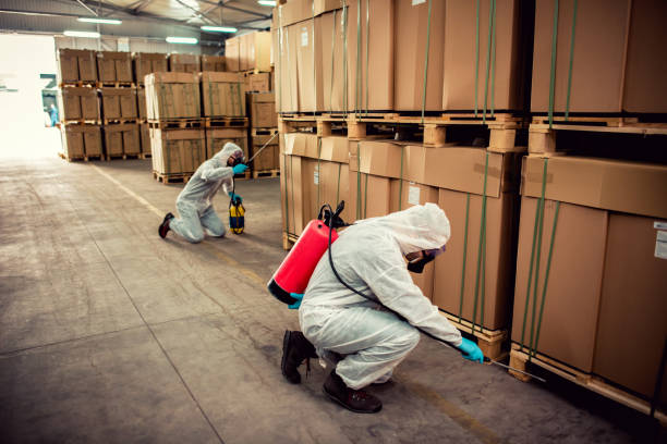 Best Affordable Pest Control Services  in Bellevue, IA