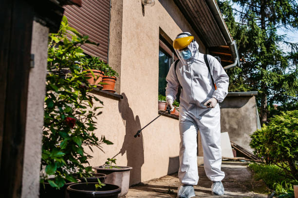 Reliable Bellevue, IA Pest Control Solutions