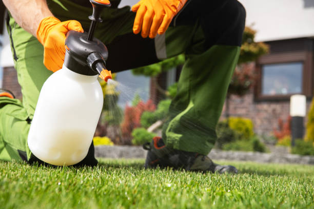 Pest Prevention Services in Bellevue, IA