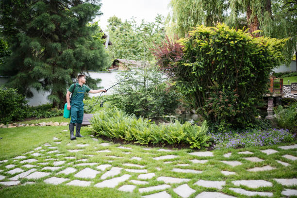 Best Pest Prevention Services  in Bellevue, IA