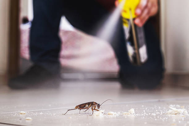 Best Best Pest Control Companies  in Bellevue, IA